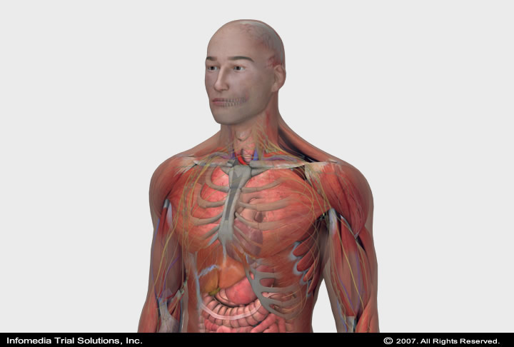 Medical Animations & Illustrations