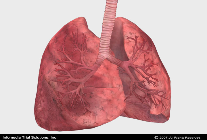 Medical Animations & Illustrations